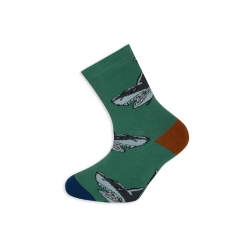 Zelené chlapčenské ponožky so žralokom.
